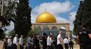 مدير دائرة الإعلام بالقدس: رصدنا اقتحام أكثر من 3 آلاف مستوطن للمسجد الأقصى خلال يومين