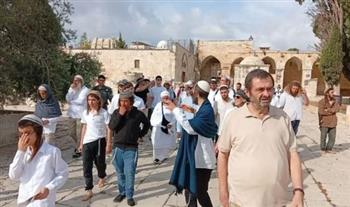   مئات المستوطنين يقتحمون المسجد الأقصى ويؤدون طقوسا تلمودية بحماية شرطة الاحتلال