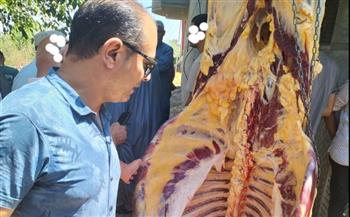   ضبط 570 كيلو لحوم فاسدة في كفرالشيخ