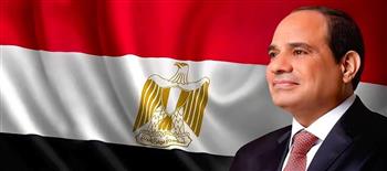   الرئيس السيسي: مصر خسرت 20 مليار دولار من عوائد قناة السويس