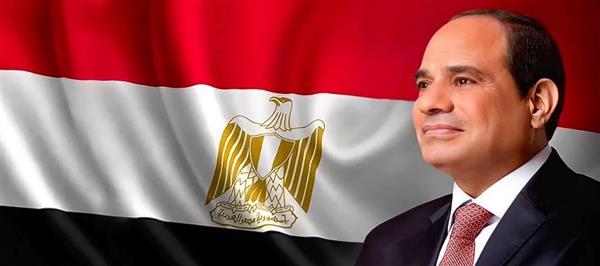 الرئيس السيسي: مصر خسرت 20 مليار دولار من عوائد قناة السويس