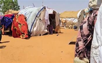   مسؤولة أممية: هناك استهداف متكرر لقوافل المساعدات الإنسانية في السودان
