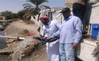 «جهاز حماية وتنمية البحيرات» يختتم خطة التنمية السمكية لعام 2026