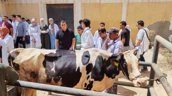 "الخدمات البيطرية" تقدم الفحص المجاني لأكثر من 114 ألف رأس ماشية و153 ألف طائر