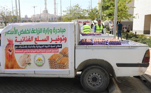 "الزراعة" تطرح بيض المائدة بتخفيضات 25% عبر منافذها المتنقلة