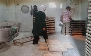   719 محضر تمويني في المنوفية خلال أسبوع.. تفاصيل الحملات