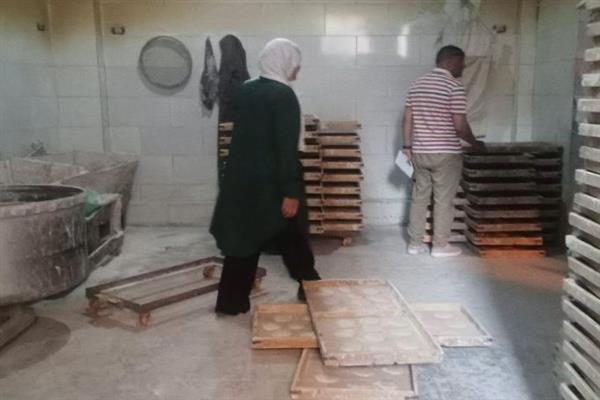 719 محضر تمويني في المنوفية خلال أسبوع.. تفاصيل الحملات