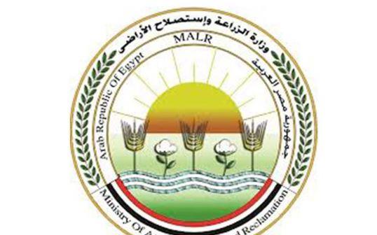 استقبال 25 الف عينة غذائية لتحليلها بالعمل المركزي لتحليل متبقيات المبيدات خلال أغسطس
