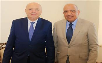   وزير الكهرباء يبحث مع نظيره الإيطالي مستجدات الربط الكهربائي