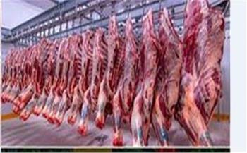استقرار أسعار اللحوم اليوم