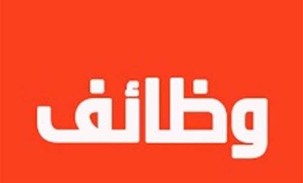 وظائف جديدة بالإسماعيلية.. رواتب تصل إلى 13 ألف جنيه