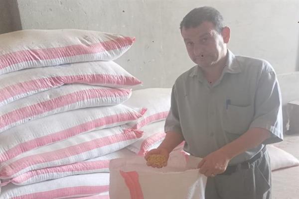استمرار الحملات التموينية المكثفة والمفاجئة في الغربية