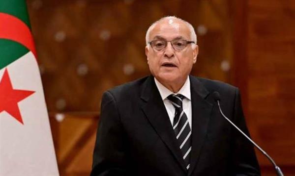 الجزائر: الأمن القومي العربي وحدة لا تتجزأ.. والقضية الفلسطينية بوصلة العمل المشترك.