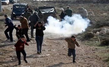 وزيرة خارجية فلسطين: الاحتلال يلتهم الضفة ويخنق غزة