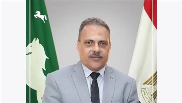 محافظ الشرقية: افتتاح 66 مشروعا بـ2.7 مليار جنيه