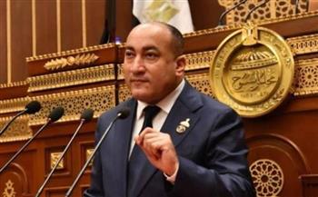 عمرو رشاد: معرض العلمين للطيران يعكس ثقة العالم في مصر
