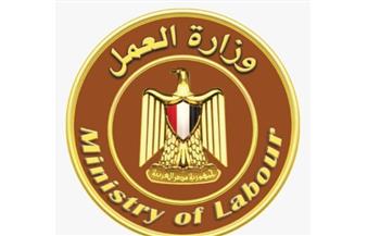   وزارة العمل تحذر الشباب من صفحات وفيديوهات وهمية تروج للسفر إلى إيطاليا