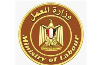 وزارة العمل تحذر الشباب من صفحات وفيديوهات وهمية تروج للسفر إلى إيطاليا