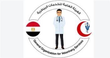  "الزراعة" تنفذ  5 آلاف ندوة إرشادية بيطرية خلال أغسطس لدعم صحة الحيوان والوقاية من الأمراض