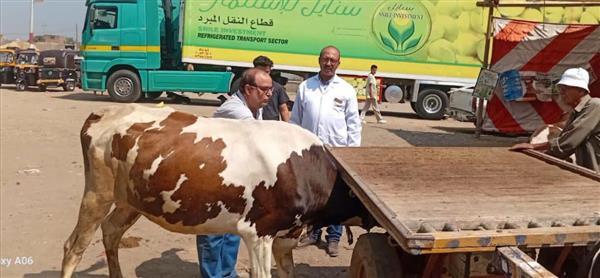 "بيطري الدقهلية" تنظم قافلة بقرية ميت سويد