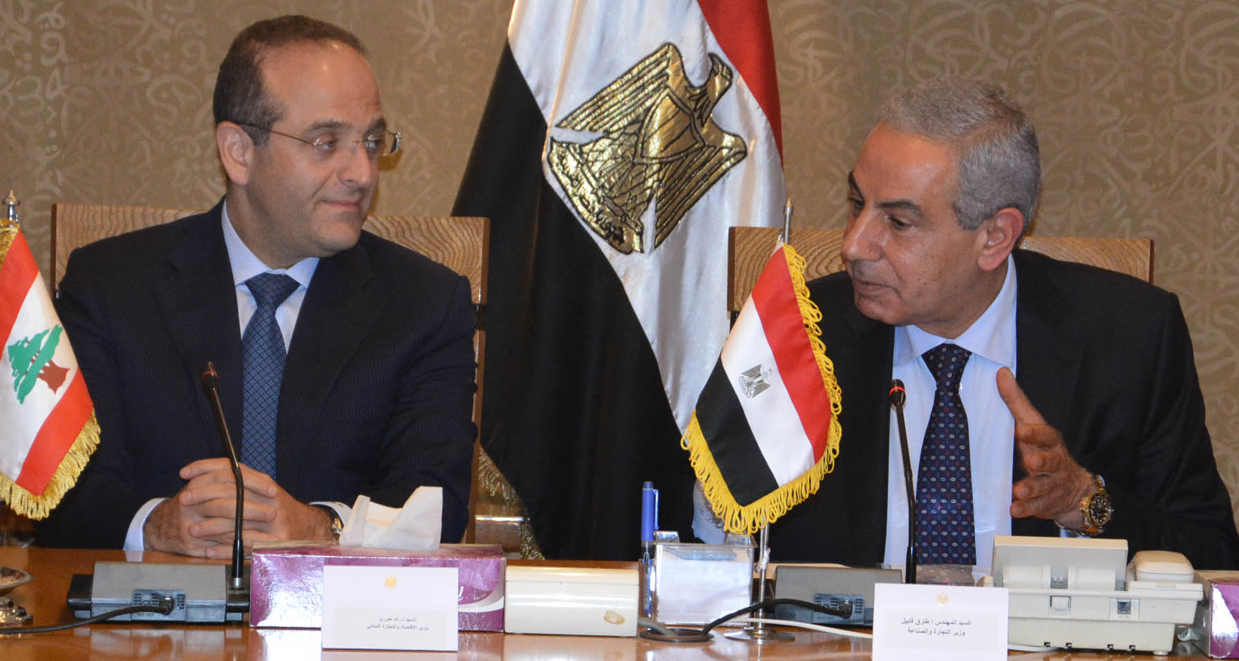   وزير الاقتصاد اللبناني: مصر استطاعت تجاوز أزمتها بفضل وعي شعبها تحت قيادة السيسي