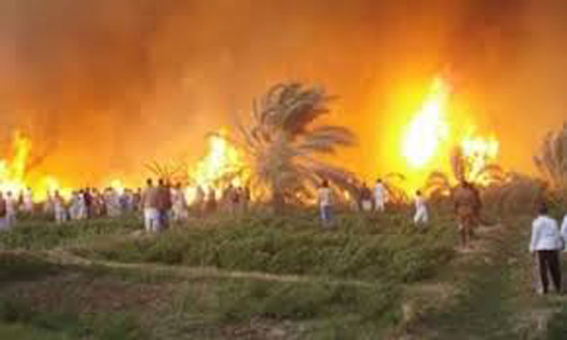   وحدات الحماية المدنية تتمكن من إخماد حريق في منطقة زراعية بالأقصر