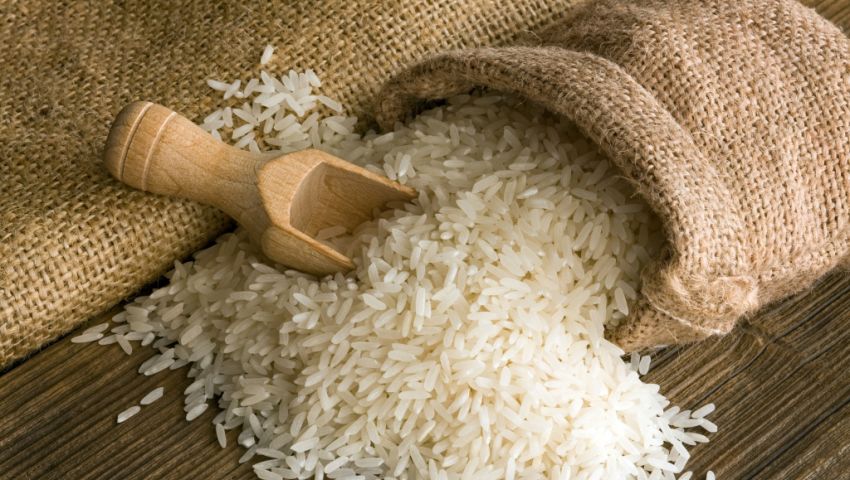   بسعر 6300 جنيه للطن 50 شركة تبدأ توريد الأرز لهيئة السلع التموينية