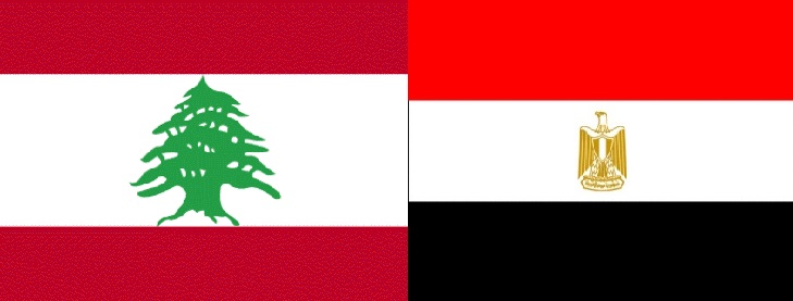   وزير التجارة :الحكومتان المصرية واللبنانية تدعمان القطاع الخاص لتعزيز الاستثمارات