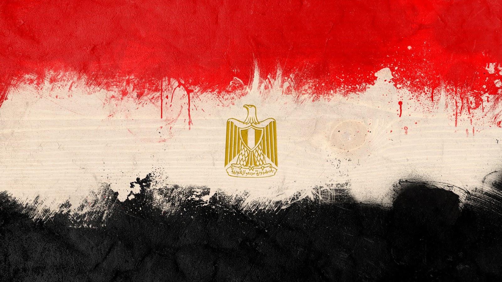   أحداث تشهدها مصر اليوم الخميس