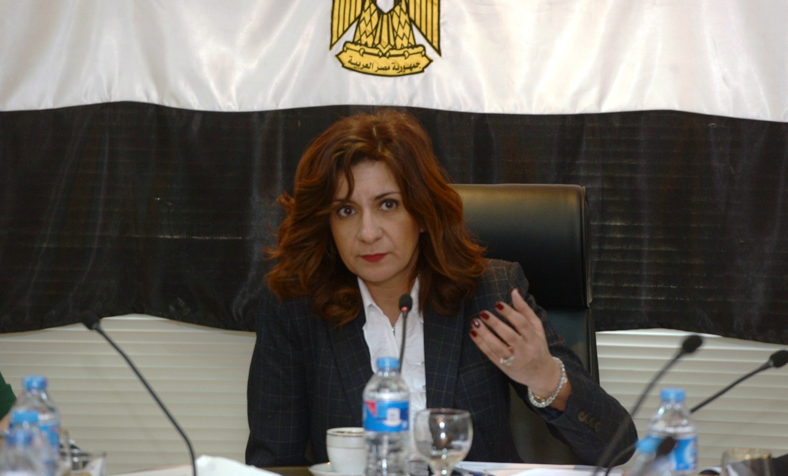   وزيرة الهجرة تلتقي مدير مكتب المنظمة الدولية للهجرة بالقاهرة .. و يتفقان على تقديم الدعم اللازم لـ «أسبوع الجاليات»