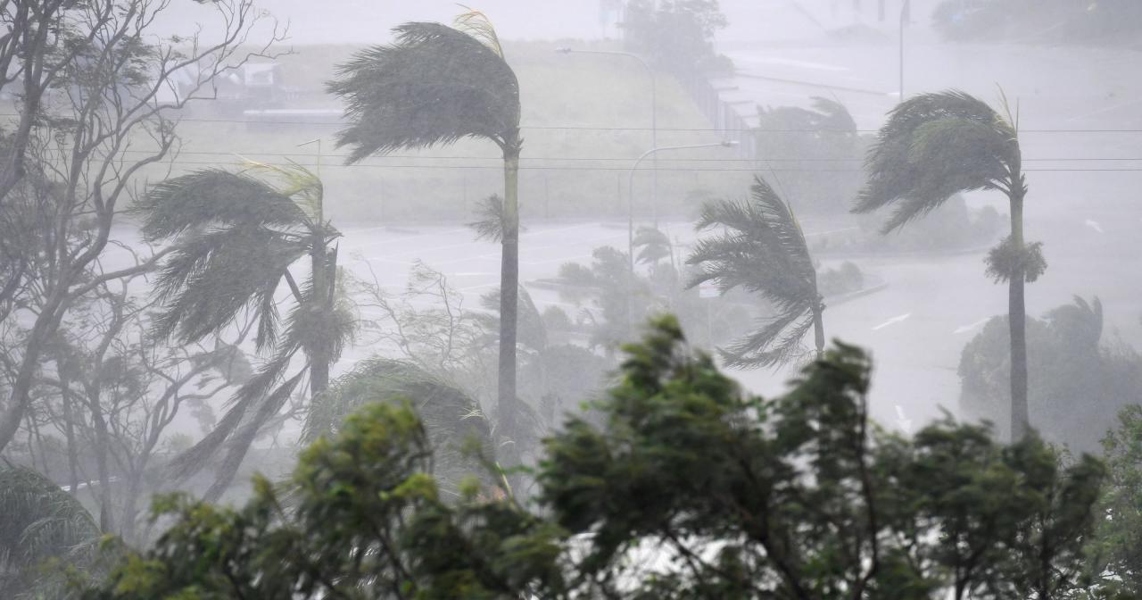   بعد تدمير شرق استراليا.. الإعصار ديبي يجتاح نيوزيلندا