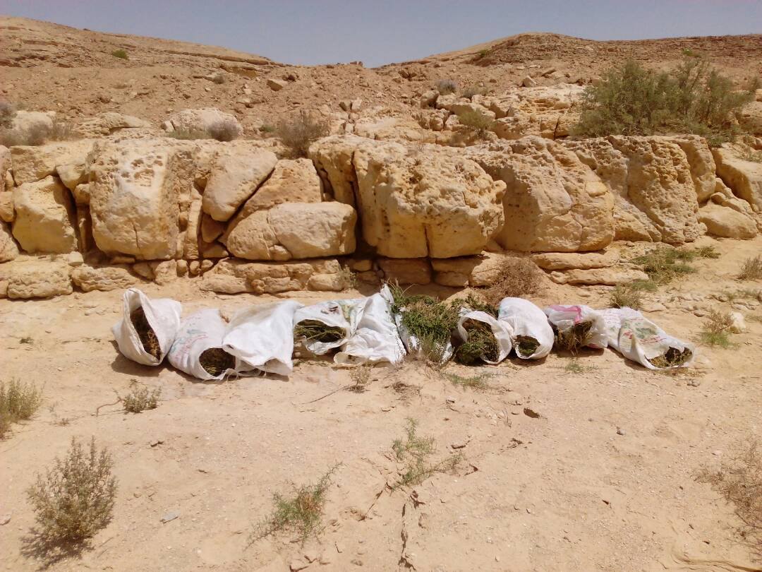   مقتل تكفيريين وضبط 5 آخرين بوسط سيناء