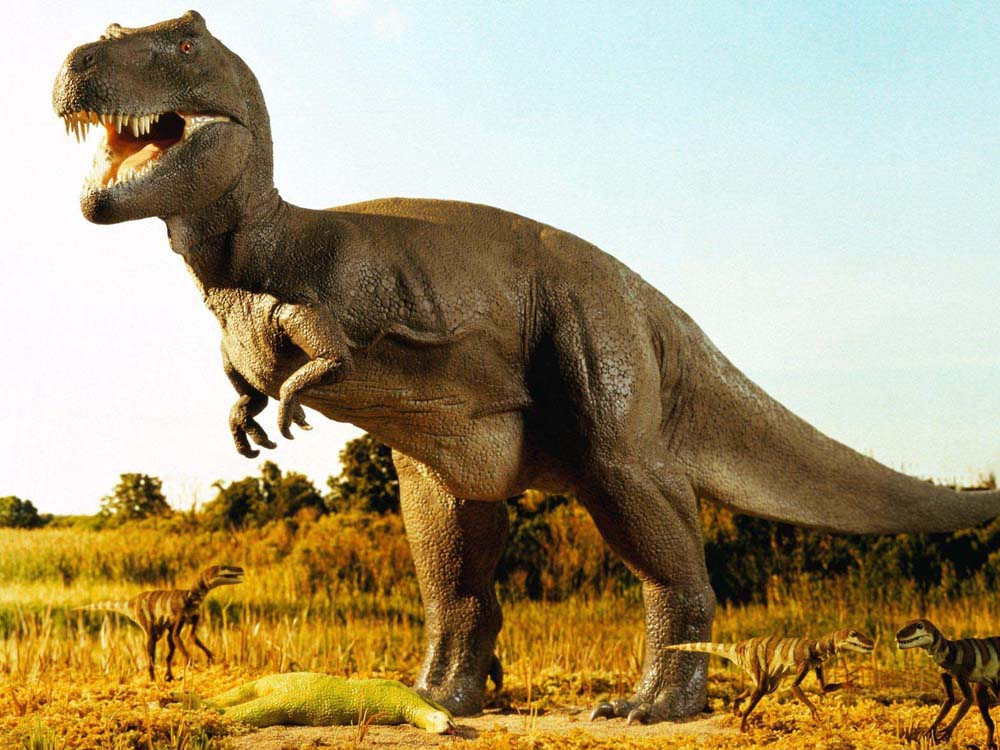   «الحب بين الديناصورات».. أخر ما توصل إليه العلماء