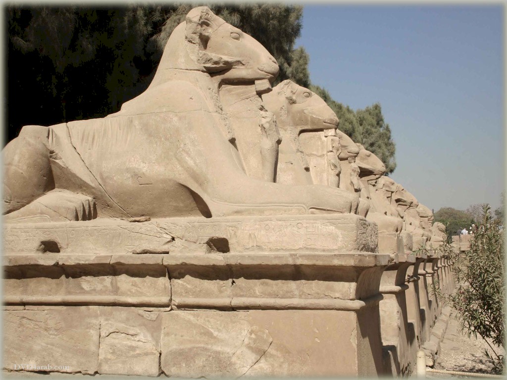   مصر تعلن عن اكتشاف أثري ضخم