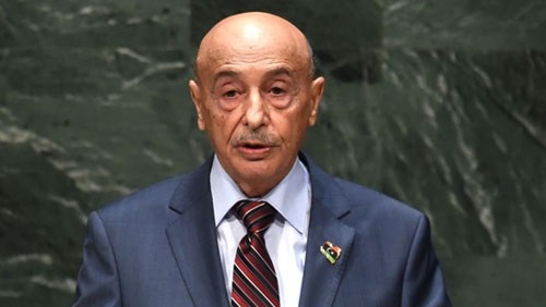   رئيس البرلمان الليبي يبحث مع وزير جزائرى تطورات الأوضاع فى ليبيا