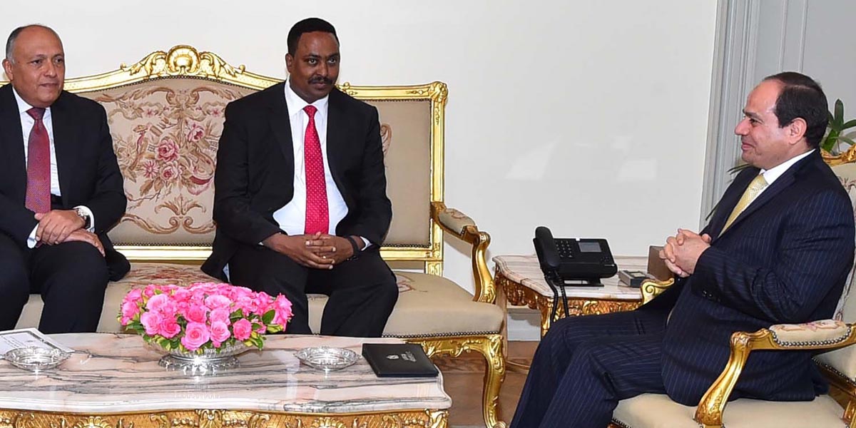   السيسي لوزير الخارجية الإثيوبى: مصر لا تتآمر ولا تتدخل في شئون الدول الأخرى