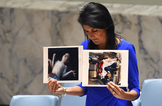   بالصور.. مندوبة أمريكا بمجلس الأمن القومى ترفع صور الأطفال ضحايا الكيماوى