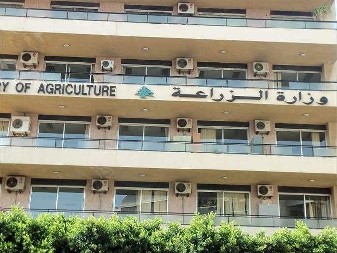   الزراعة : تناشد المواطنين سرعة استيفاء المستندات لدخول مزاد «رابعة» بمحافظة سيناء 