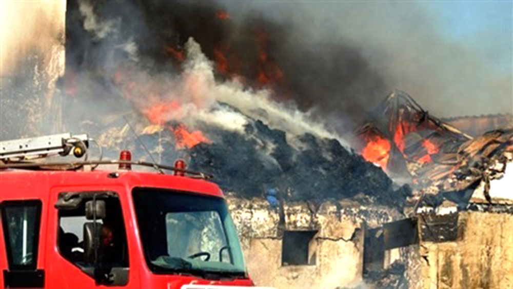   عاجل:  اندلاع حريق داخل مركز البحوث الزراعية بالجيزة