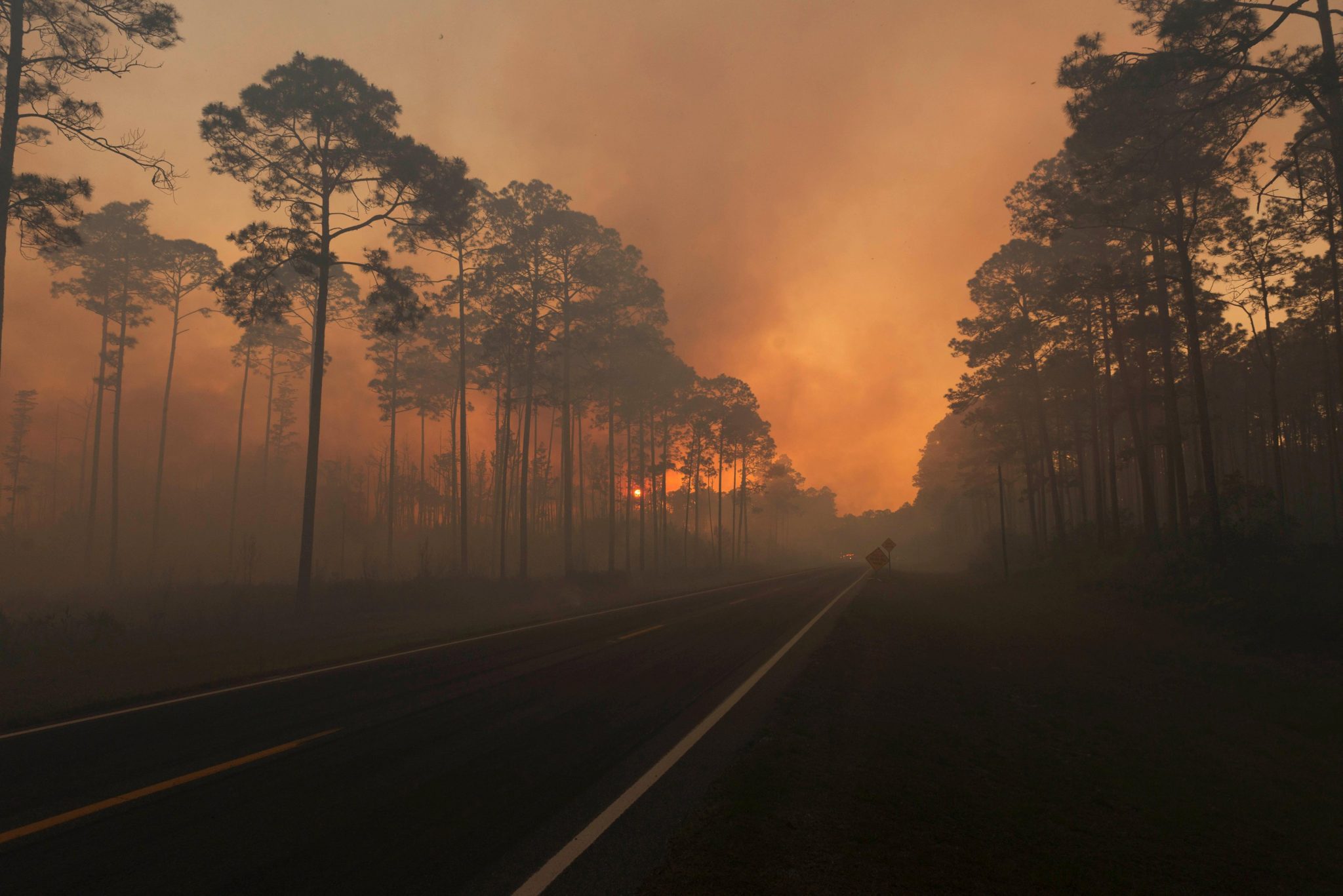   شاهد| نار جهنم تحرق غابات فى أمريكا