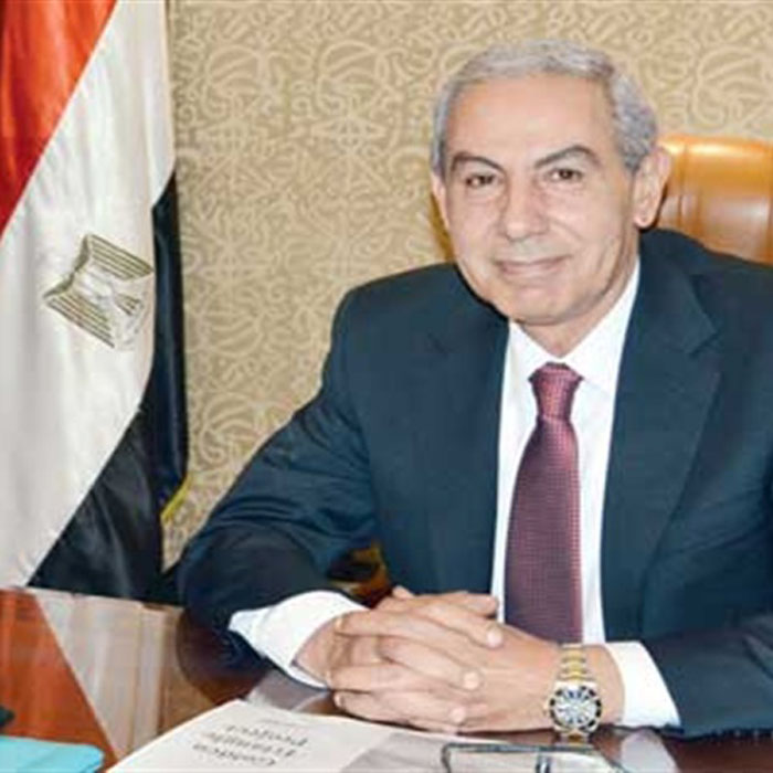   وزير التجارة: تنظيم بعثات للصادرات المصرية بأسواق أفريقيا