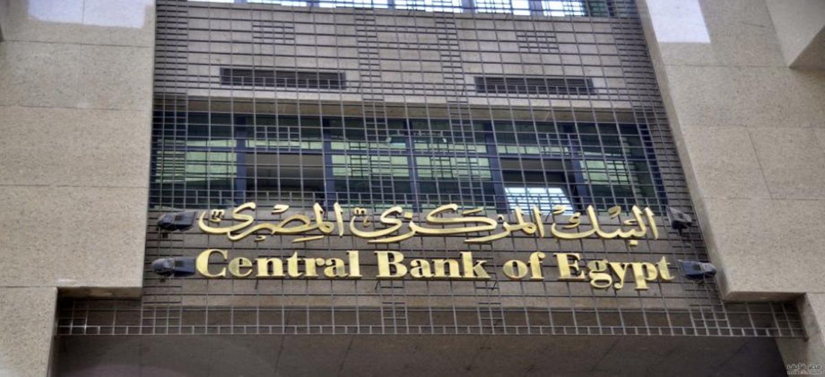   البنك المركزي: 6.5 مليار دولار صافي تدفق الاستثمارات الأجنبية المباشرة في 9 أشهر