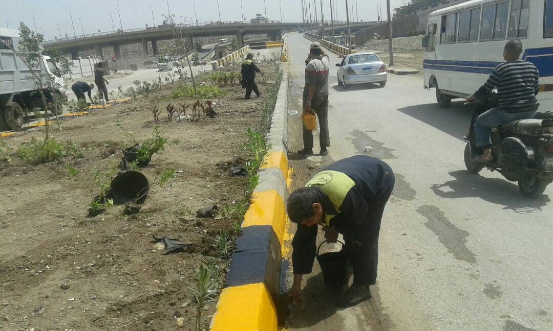   الدالى: تشجير منطقة مطار إمبابة ورصفها ودعمها بأحواض للزرع والزهور