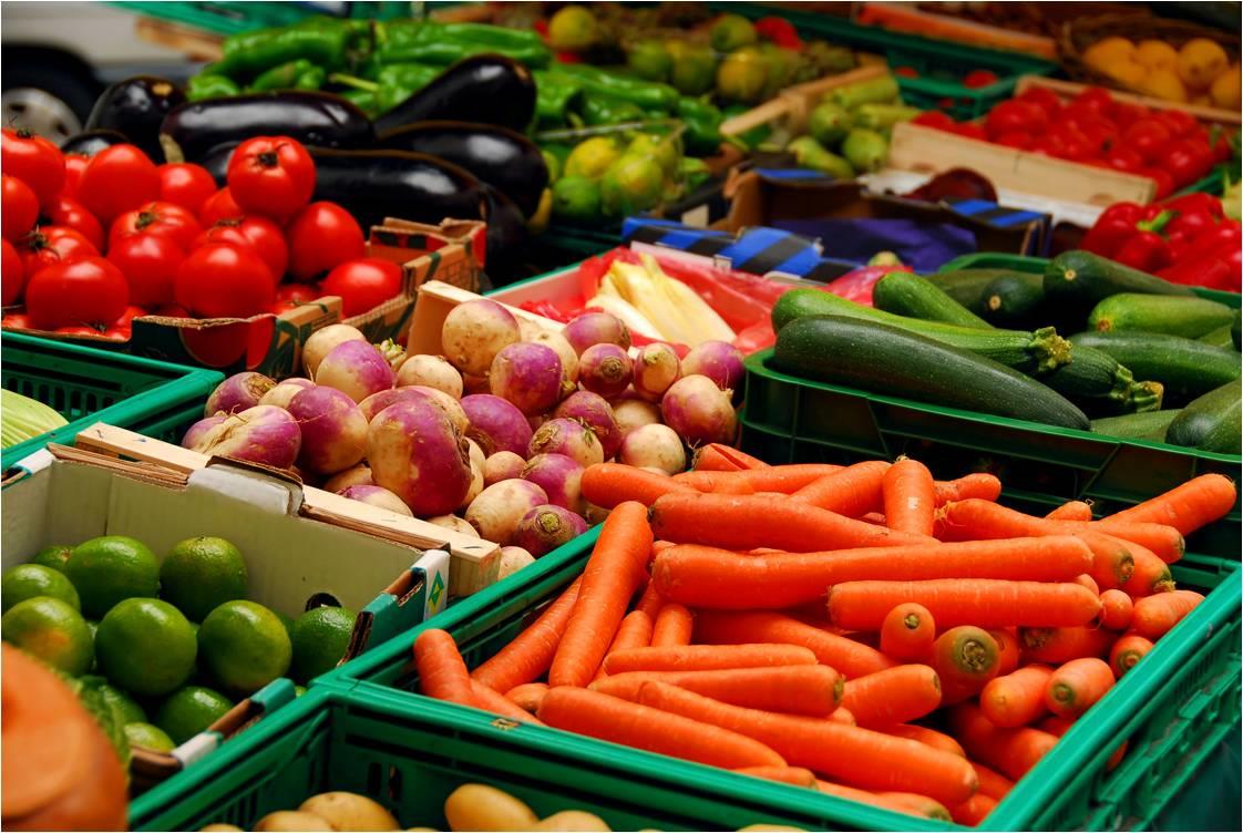    الزراعة تبحث تصدير الخضر والفاكهة إلى السعودية