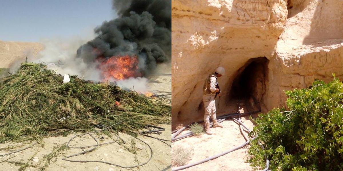   بالصور| المتحدث العسكرى: مقتل 4 تكفيريين وحرق 32 مزرعة بانجو فى سيناء