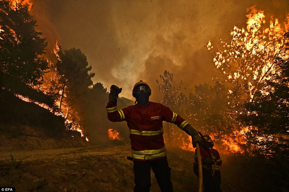   وزير برتغالي: ارتفاع حصيلة ضحايا حرائق الغابات إلى 43 قتيلا