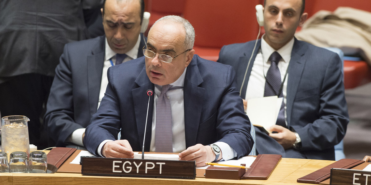   مصر أمام «مجلس الأمن»: قطر سددت مليار دولار «فدية» لتنظيم إرهابى