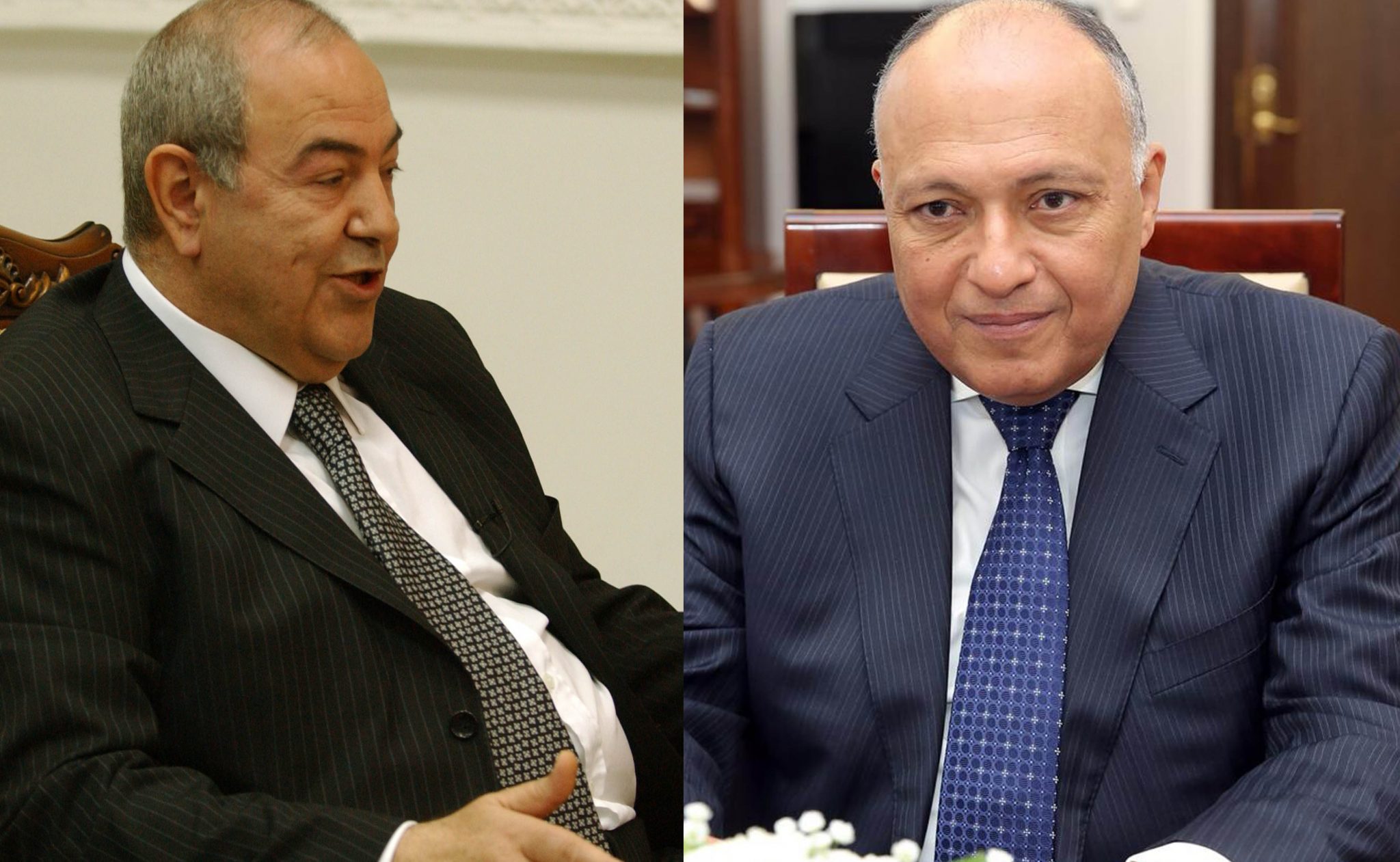   شكرى وعلاوى يتفقان: إحياء اللجنة العليا المشتركة بين مصر والعراق