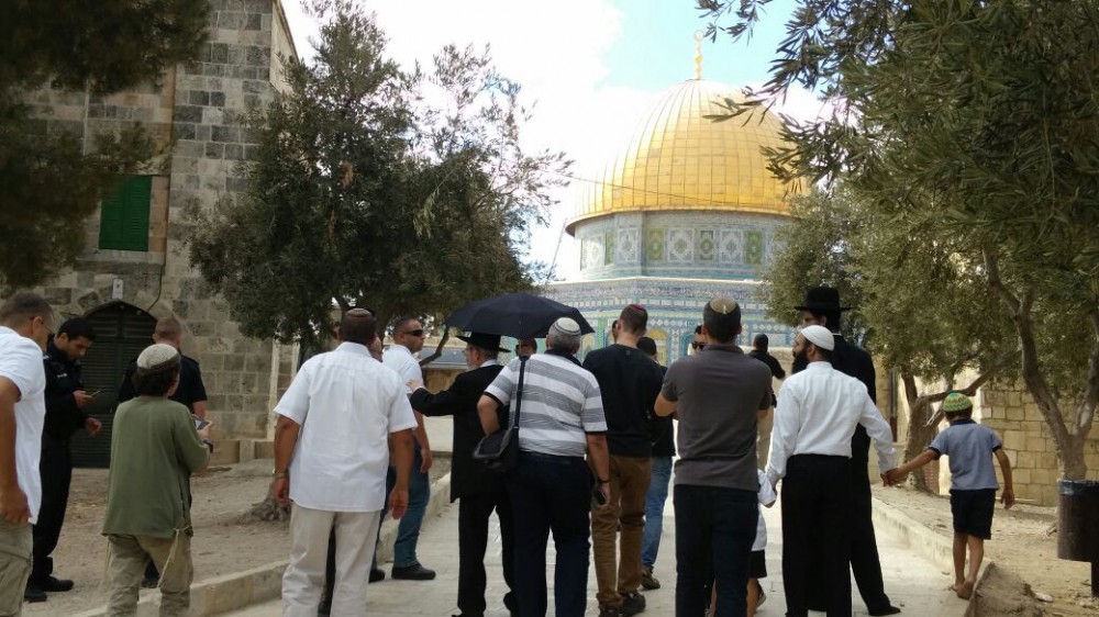   عشرات المستوطنين اليهود يقتحمون باحات الأقصى .. و«دائرة شؤون القدس» تستنكر