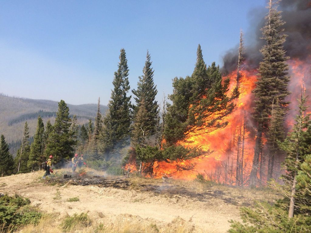   السلطات الأمريكية: تعذر السيطرة علي حريق مونتانا أكبر حريق غابات تشهده البلاد